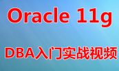Oracle 11g完全入门系列视频专题
