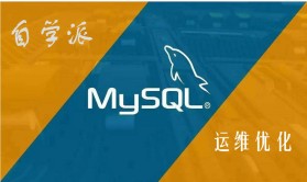 自学派-MySQL运维优化视频课程