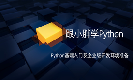 Python基础入门及企业级开发环境准备视频课程