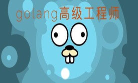 成为高级golang工程师