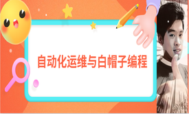 IT脚本编程与运维自动化编程及白帽黑客编程基础与提升全程技巧