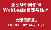 中间件（WebLogic+WebSphere+Tomcat）
