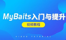 MyBaits 数据持久化ORM框架视频教程