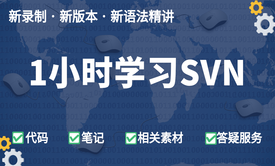 SVN视频教程