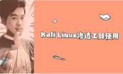 Kali Linux与信息安全