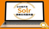 Lucene+Solr+ElasticSearch入门至项目