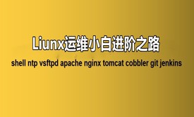 linux运维云计算：运维小白进阶之路-25天学习linux